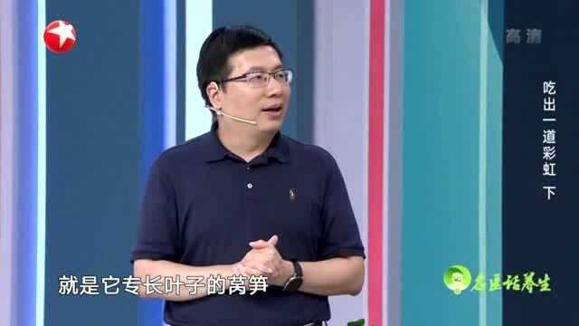 蔬菜中的叶绿素能把太阳能变成人体的能量?专家:颜色深的蔬菜叶绿素多!