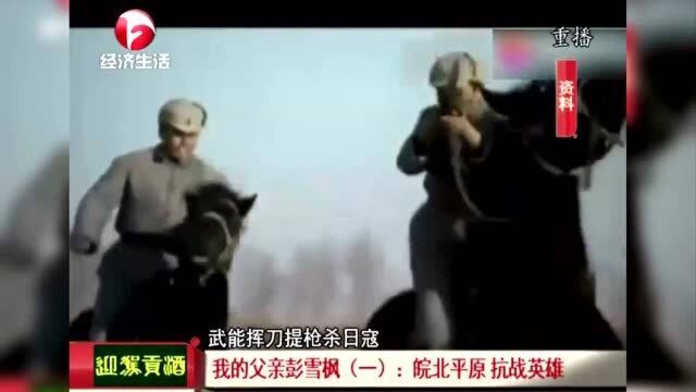 我的父亲彭雪枫:皖北平原 抗战英雄