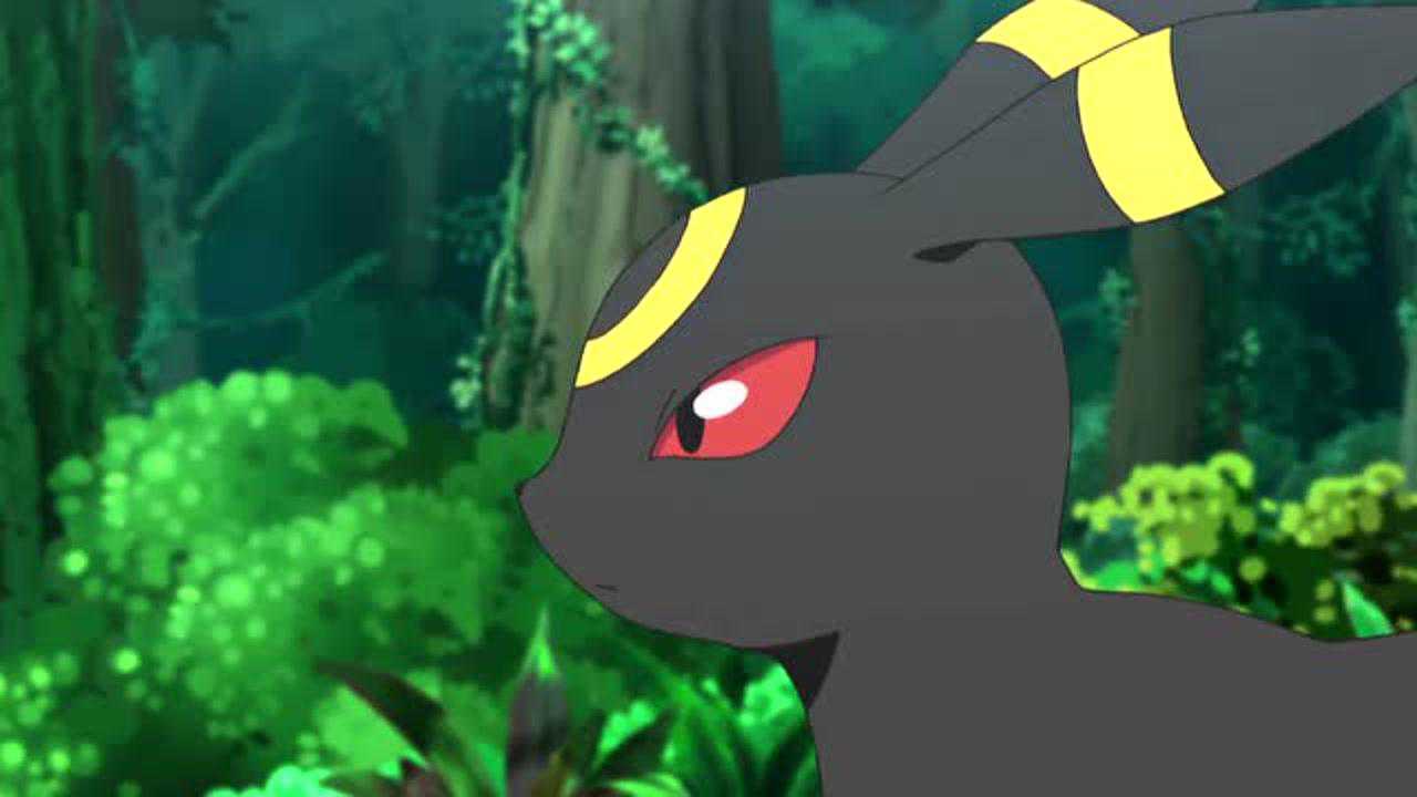 精灵宝可梦月亮伊布还是那么冷酷但是好可爱