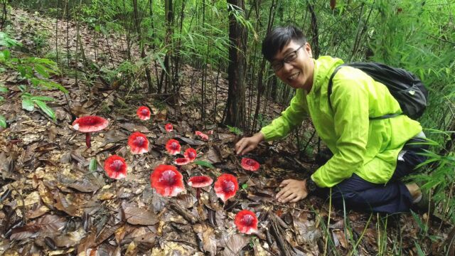 小伙上山捡灵芝,发现路边好多红色蘑菇,听说一斤值1000元