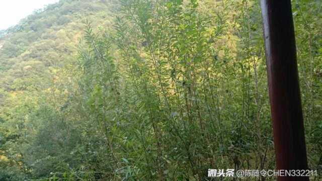 高峡偶开,流水潺潺,美不胜收.卢氏双龙湾,桃花谷一瞥