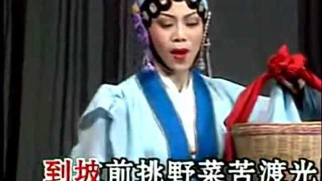 吕剧《鸿雁传书》选段 王宝钏手提竹篮往前行 刘淑娟演唱