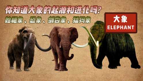 你知道大象的起源和进化吗？猛犸象公元前2000年才灭绝