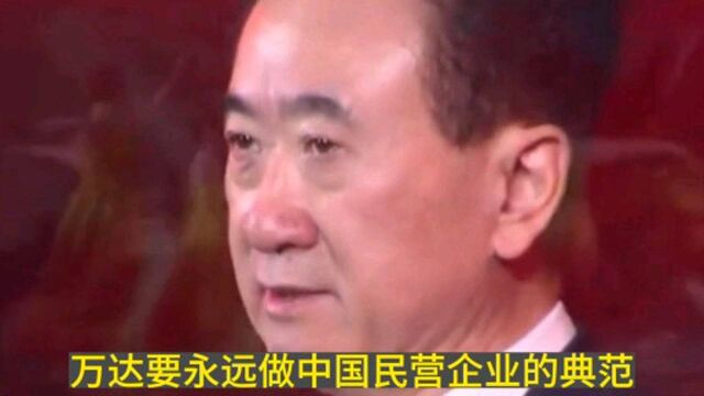 王健林:万达要永远做中国民营企业的典范