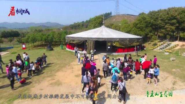 看桐城|乡村旅游创客基地:鲁王山生态园