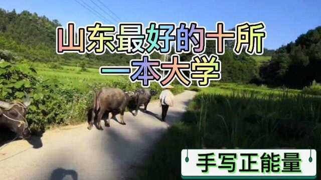 山东最好的十所一本大学.三所进入了全国百强高校,实力不容小觑.