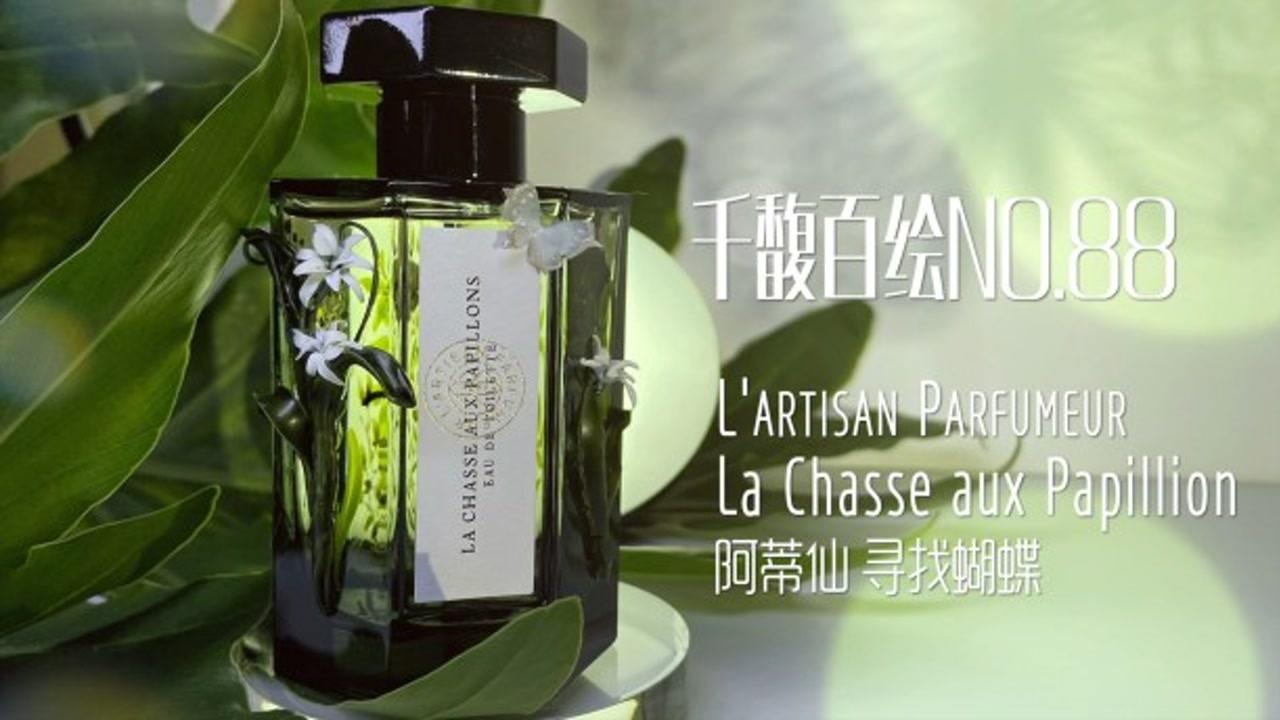 寻找蝴蝶|视觉系香评 阿蒂仙