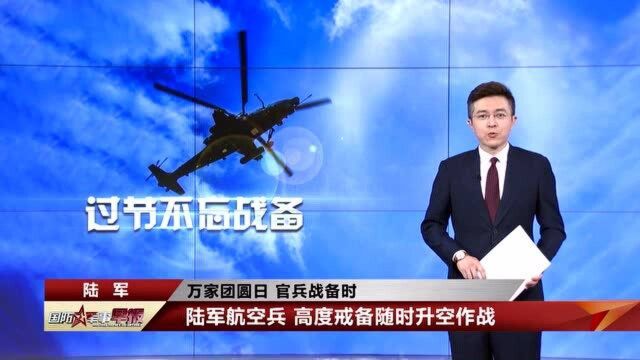 陆军航空兵:高度戒备随时升空作战