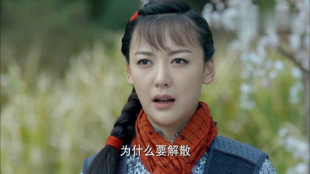 野山鹰:海棠小组被迫解散苏海棠带人回到国军队伍,众人一脸不舍