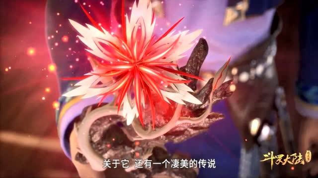 仙品中的圣品相思断肠红有缘者得