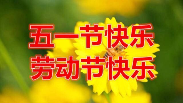 五月你好,五一节快乐,劳动节快乐,送一首轻快的歌,辛苦了