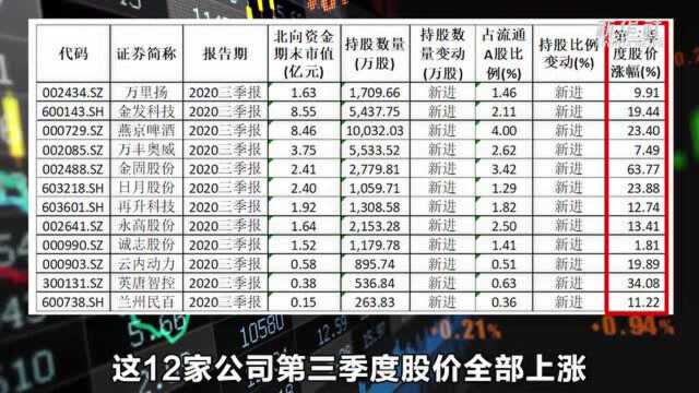 北向资金买进十大流通股东榜 这十二只股票不简单