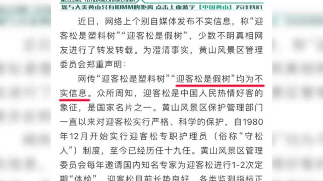 有自媒体爆料黄山迎客松是塑料的?景区:谣言!每年都邀知名专家为树体检