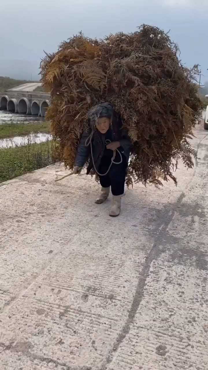 每个人肩上都有一座山,这座山指的是我们的责任和担当,让我学会坚强
