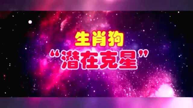 生肖狗“潜在克星”,这个生肖会让生肖狗一事无成!