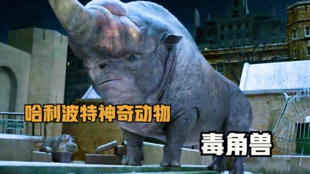 哈利波特神奇动物系列介绍之 毒角兽