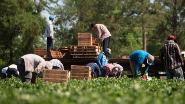 澳洲最缺人的职业,月工资堪比国人一年的收入,本国人却无人想干!