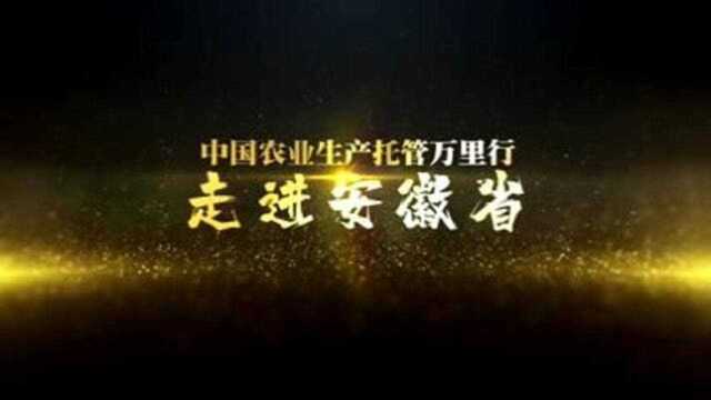 中国农业生产托管万里行——走进安徽省,重磅开启