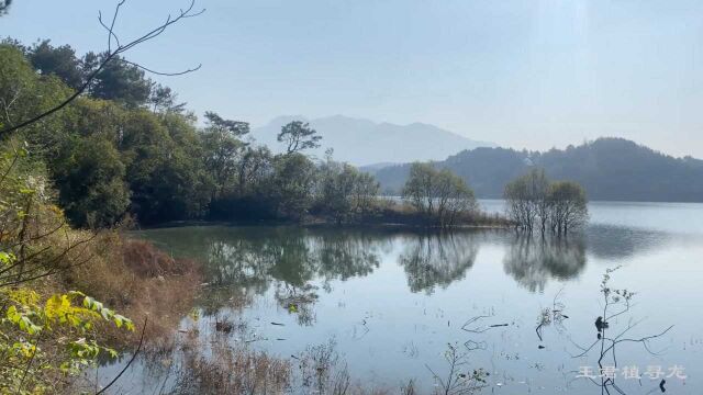 风水视频,清朝五品奉政大夫熊公祖坟风水考察