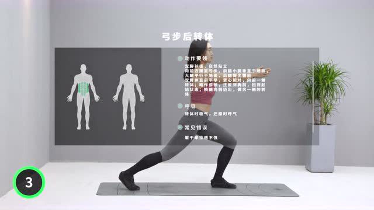 弓步后转体健身教学小样