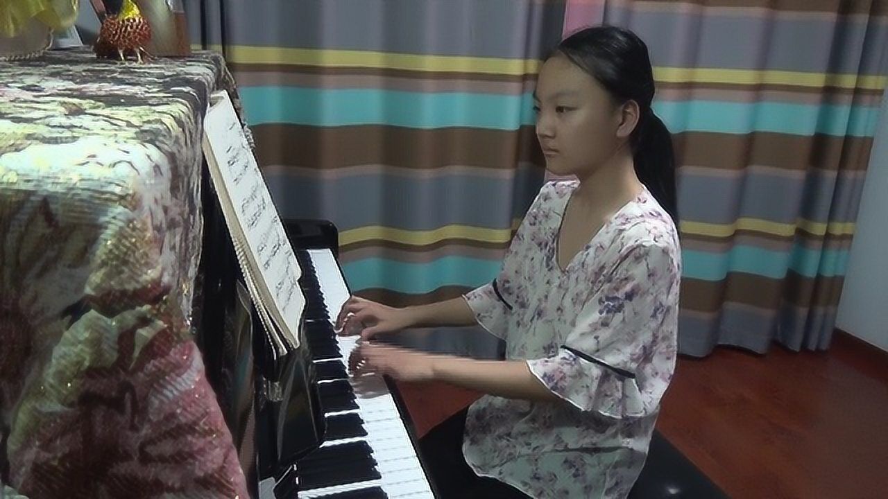 子弟兵与老百姓(演奏 :张文萱)