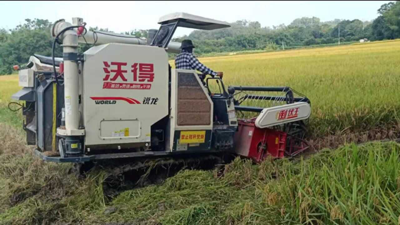 看完国产沃得收割机,整个收割过程,还有谁敢说国产技术不行?