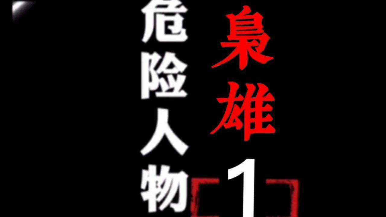 危险人物粤语香港电视剧 第1集:枭雄 粤语