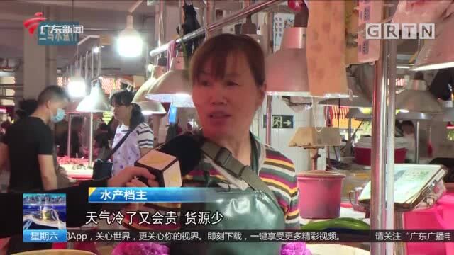 阳江 濑尿虾价格“大跳水”最低每斤10元