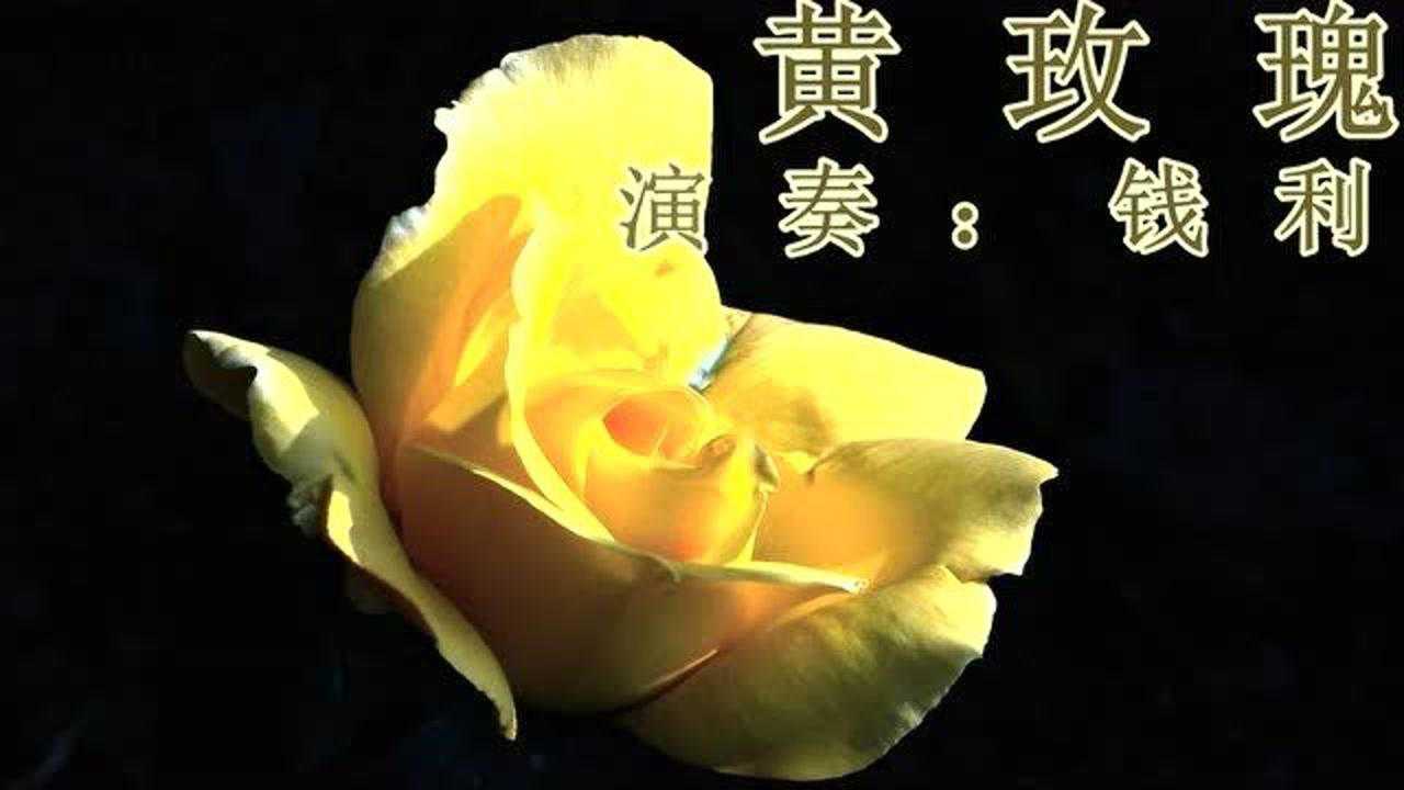 既柔婉清丽又勾魂的萨克斯黄玫瑰黄玫瑰别落泪所有的花儿你最美