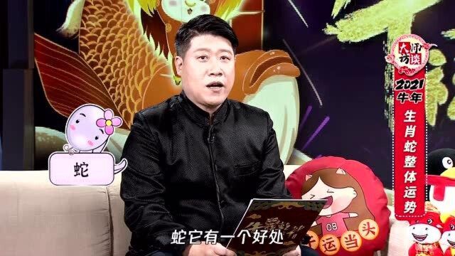 “生肖蛇”半合太岁!著名易学专家揭秘2021年哪方面最旺?