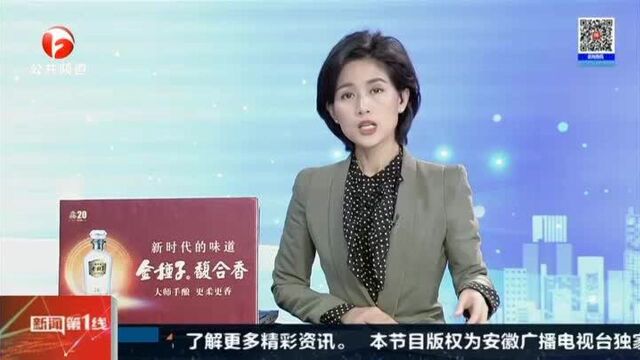 铜陵:历时两年 网络暴力催收团伙被铲除