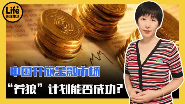 中国开放金融市场有哪些利弊?“养狼”计划会成功吗?告诉你答案