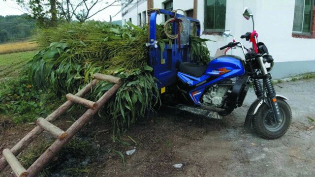 老乡花17000买的宗申三轮车,大家看看老板赚了他多少钱?