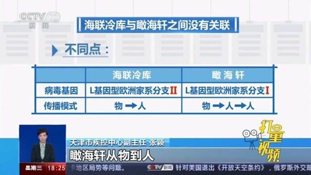 关注!天津海联冷库感染源与瞰海轩之间没有关联