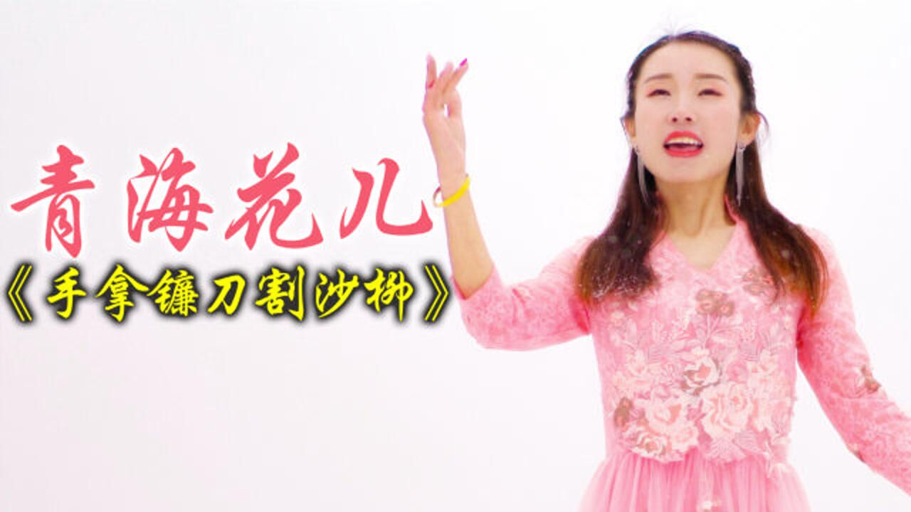 青海花儿靳永芳演唱手拿上镰刀割沙柳