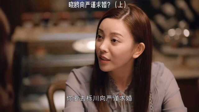 这一伙人把晓鸥蒙在鼓里,一个个的演技都是影帝级别