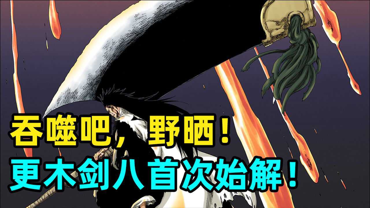 猫叔说漫死神千年血战p33野晒上
