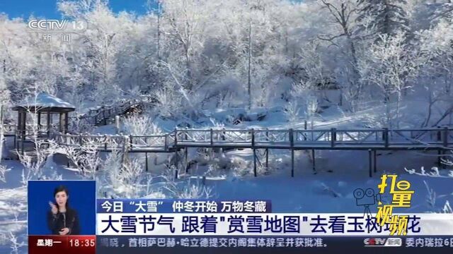 漫漫冬日,收下这份“赏雪地图”,看遍玉树琼花