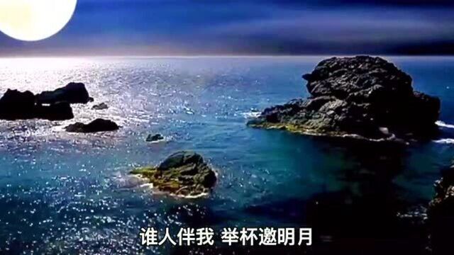 王韵《月明之夜》唱出了太多有情人的无奈离别