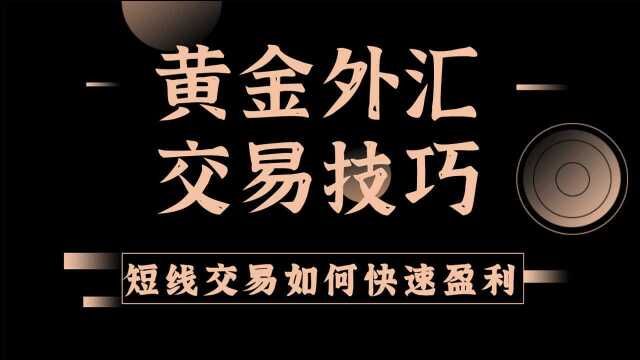 恒指短线交易技巧(把握好市场节奏让你盈利每天100点)