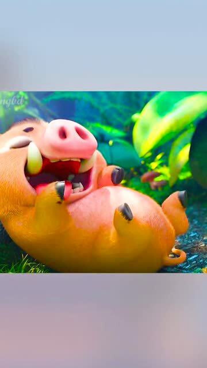 熊出没可爱的小野猪打呼噜的声音好真实像极了憨憨男友