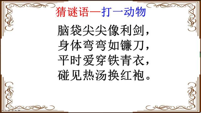 猜谜语:脑袋尖尖像利剑,身体弯弯如镰刀,打一动物