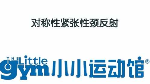 对称性紧张性颈反射