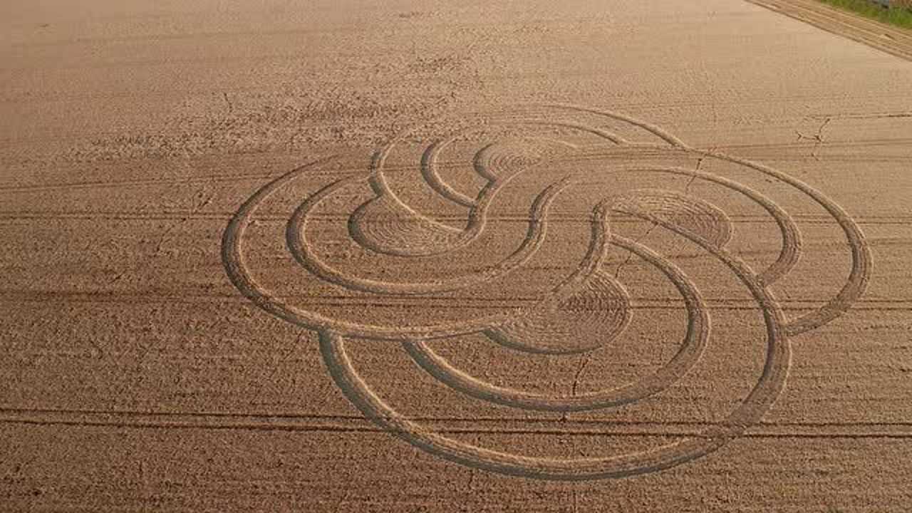 2020年最新的麦田怪圈多地突然出现神秘麦田圈外星人干的