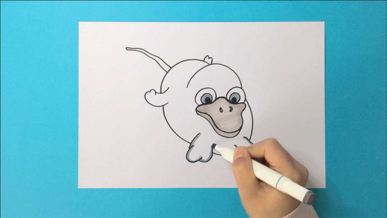 博卡简笔画:扁嘴兽好可爱,还有萌萌的大眼睛,我们一起画吧