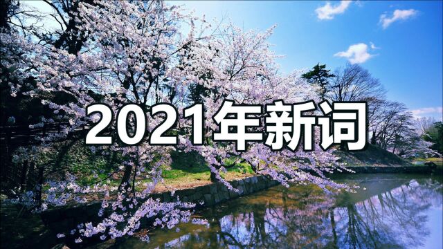 2021年新词都出来了,句句经典,字字精辟