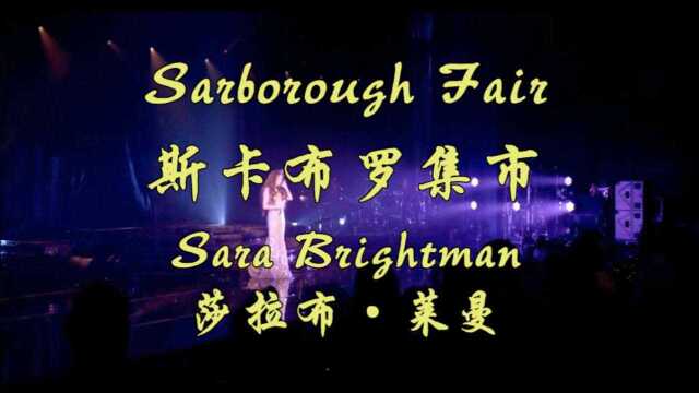 大学生最爱听的英文歌曲《Scarborough Fair》