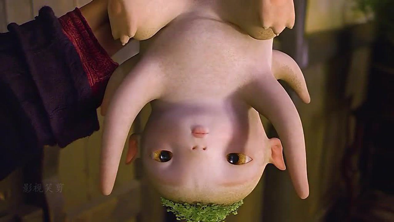 小小的爱会发芽胡巴太可爱了吧