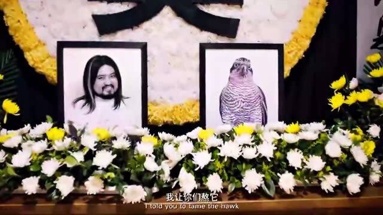 羞羞的铁拳让你俩熬鹰可没让你们把它熬死