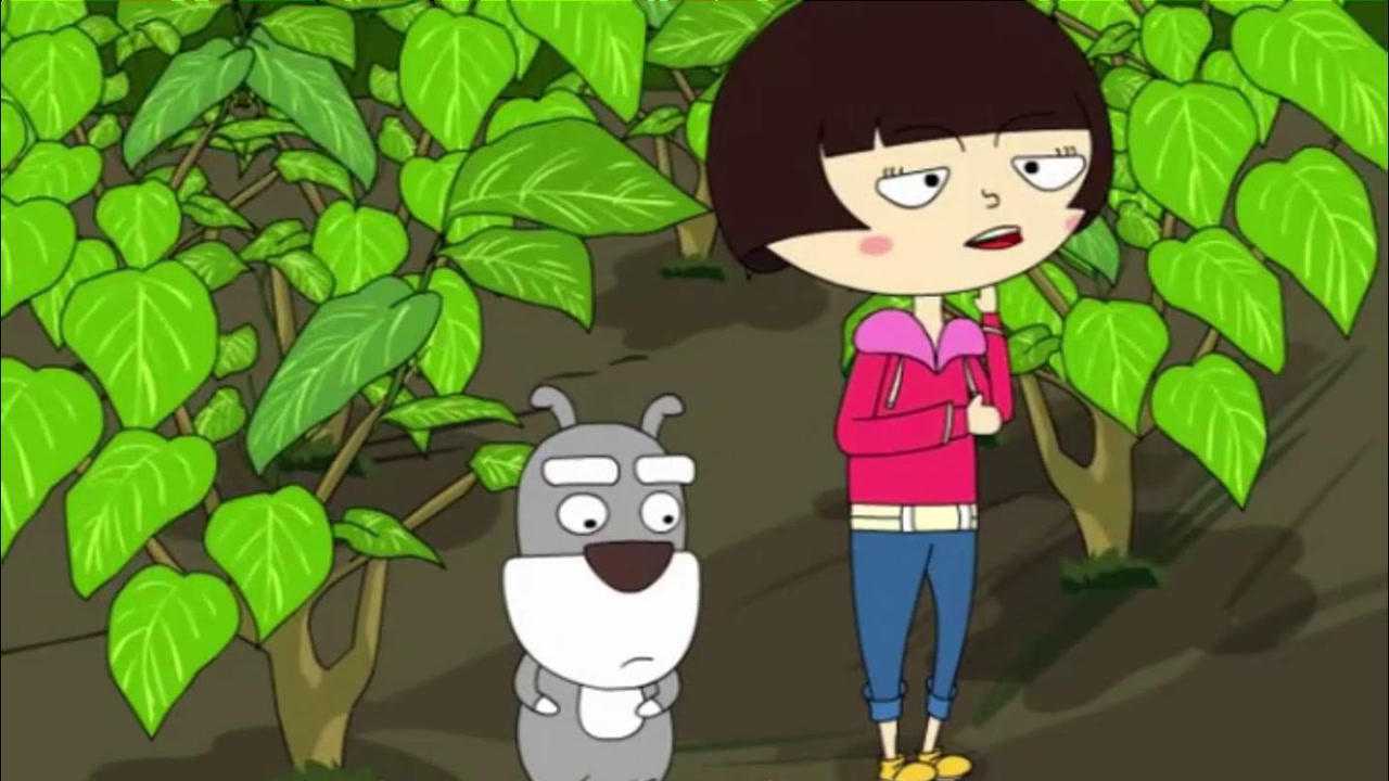 麦圈可可寻宝记小鸟不好抓呀肉丸全靠你了肉丸快想办法